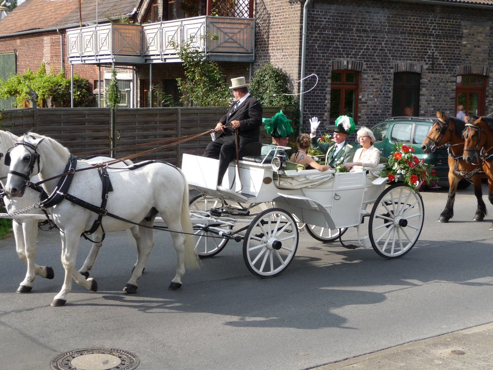 Schützenfest 2008