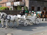 Schützenfest 2008